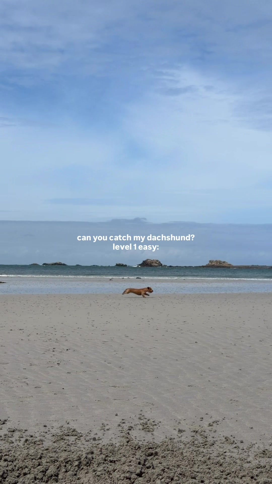 @lifeoflunabowie