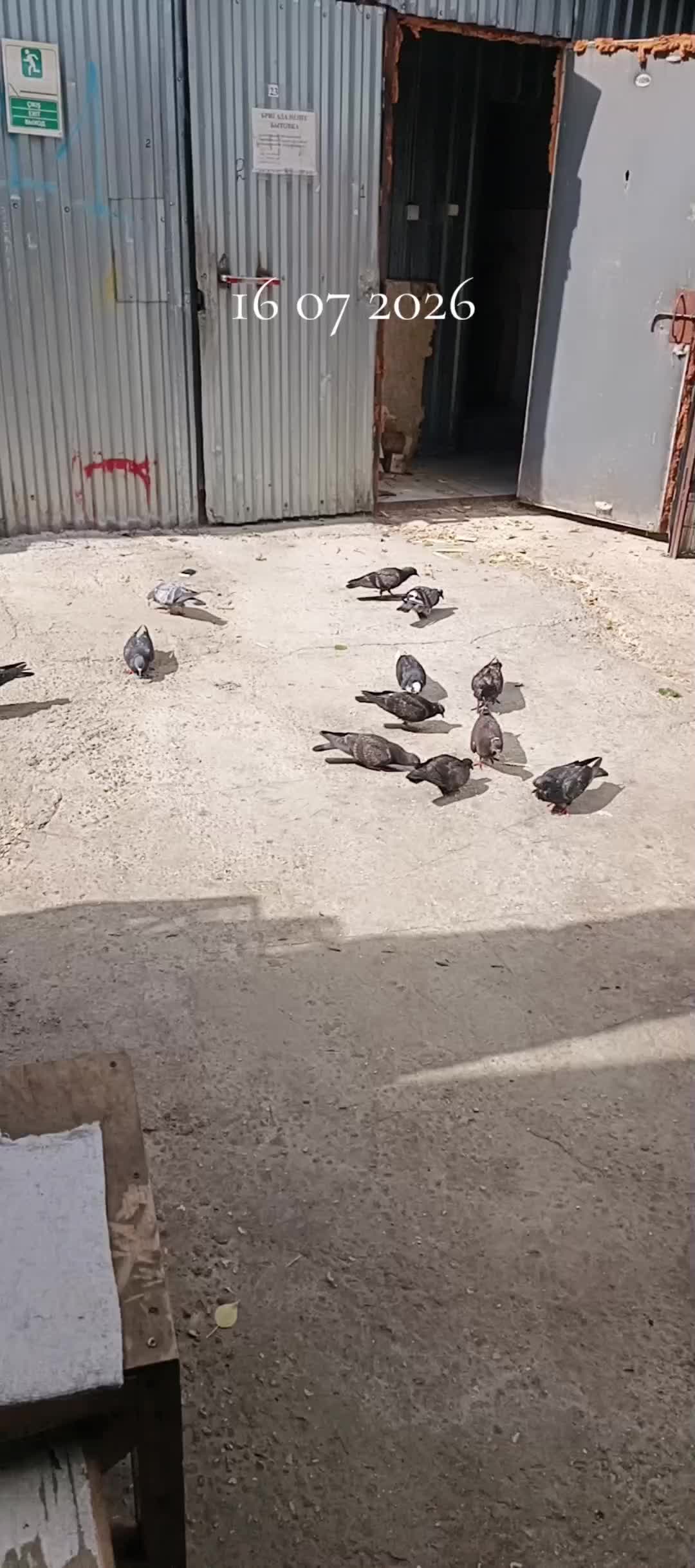 @Maşa