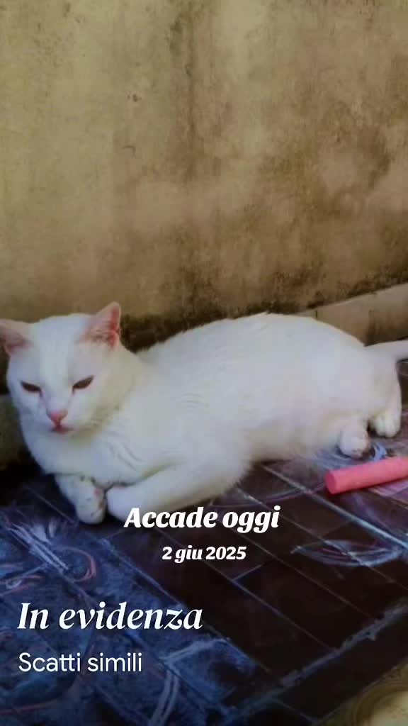 @Sebastiano