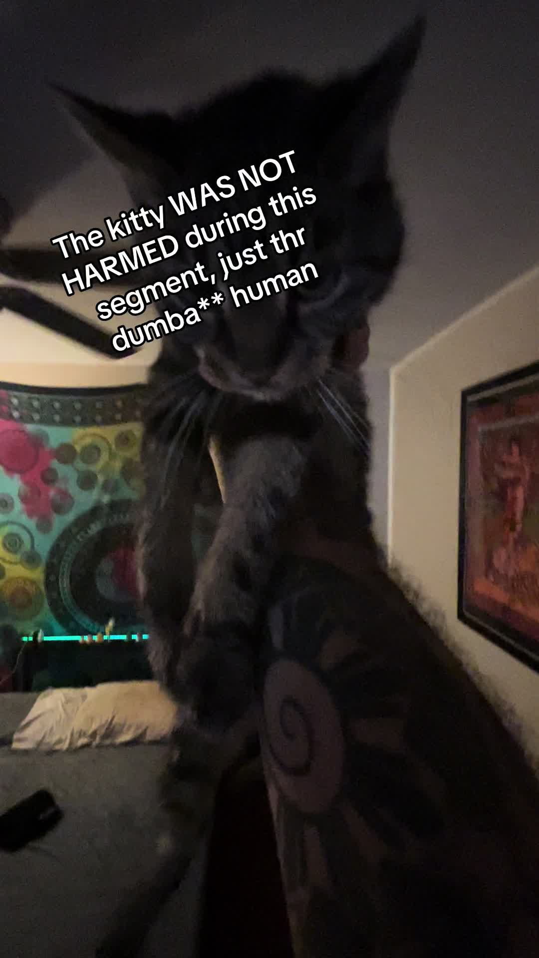 @durtyjerzeyrrat