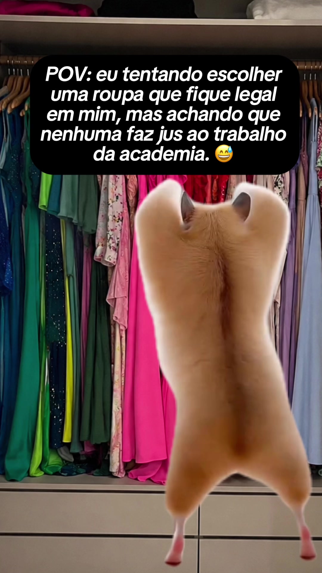 @tababadeira