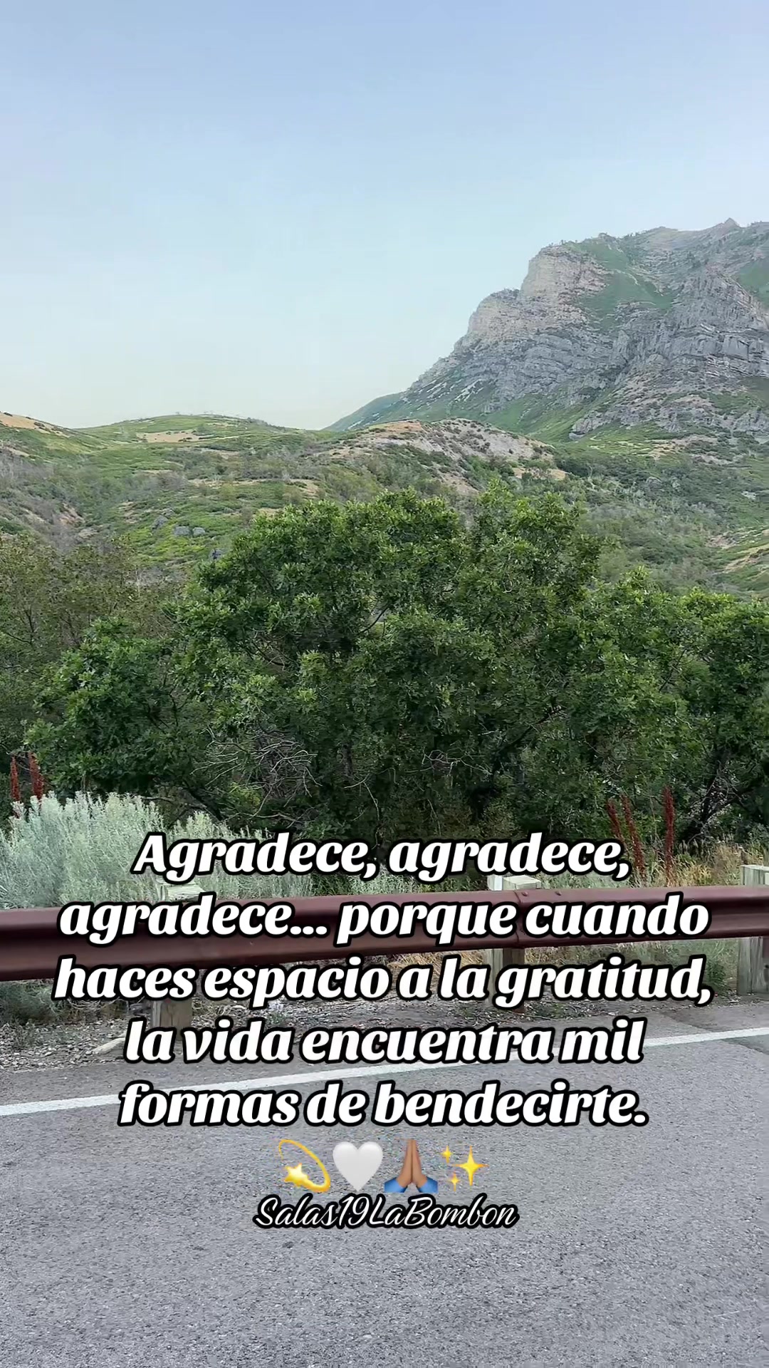 @💫✨🩷SALAS19BOMBON 🌻🦋