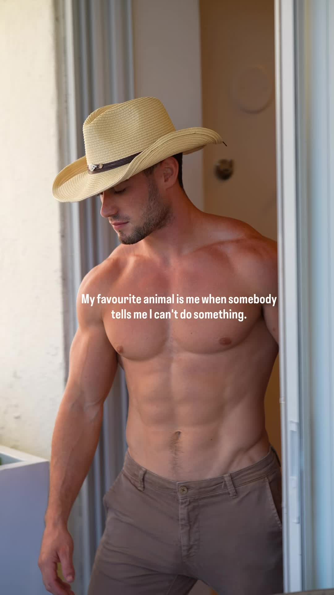 @josh.vasconcelos