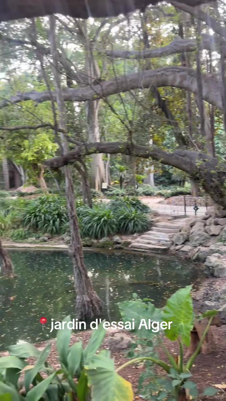 @Mina &agrave; Alger 🇩🇿