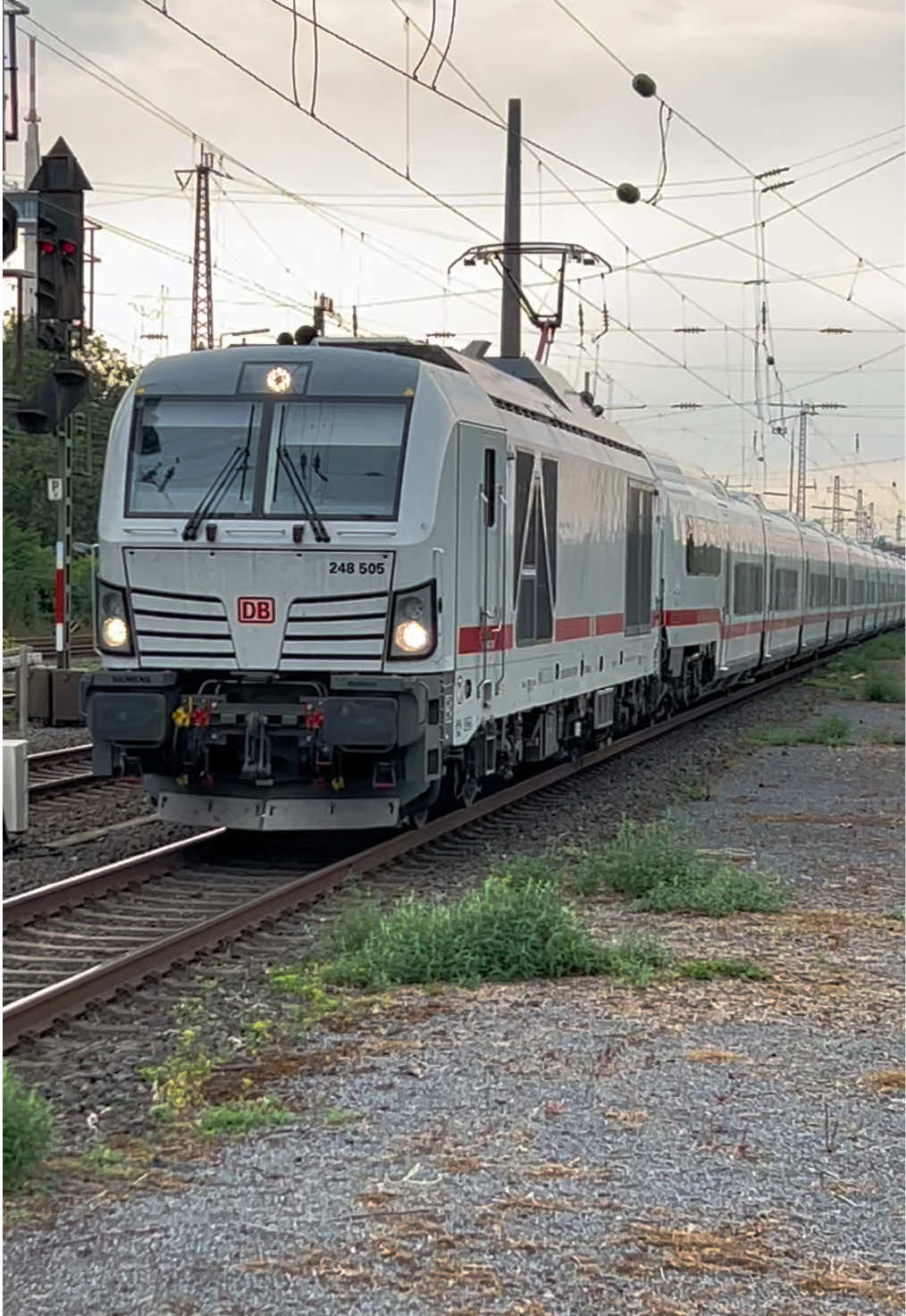 @Trainspotterin_Alina🧃