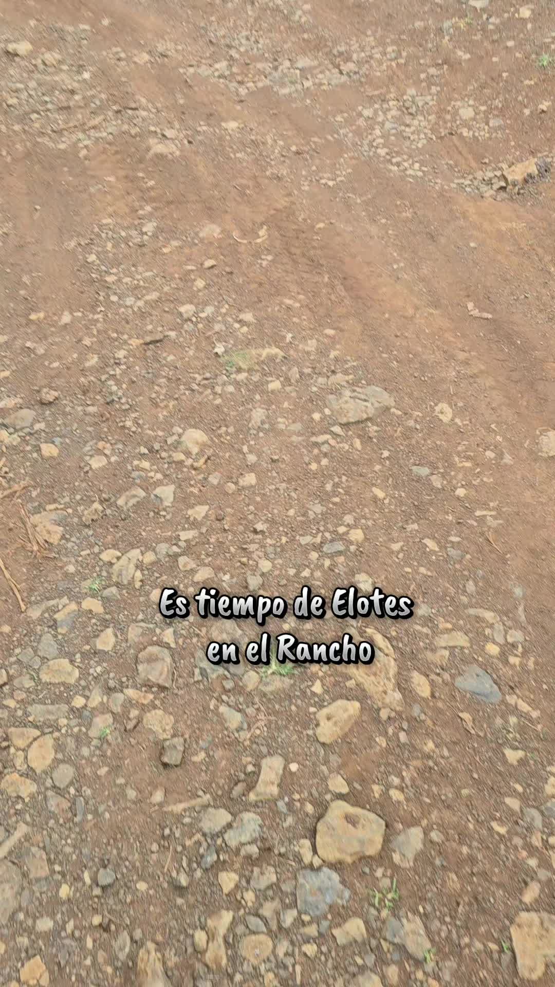 @Ojos Bonitos 👀