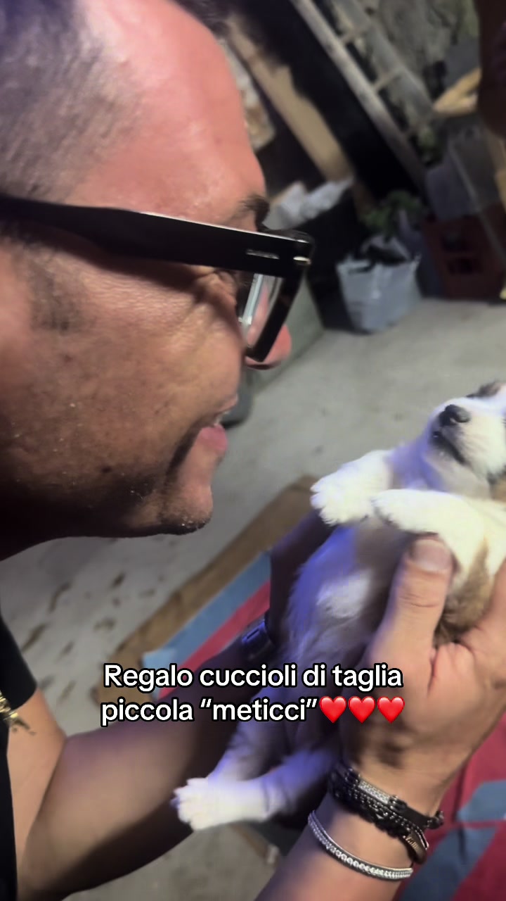 @proto roberto