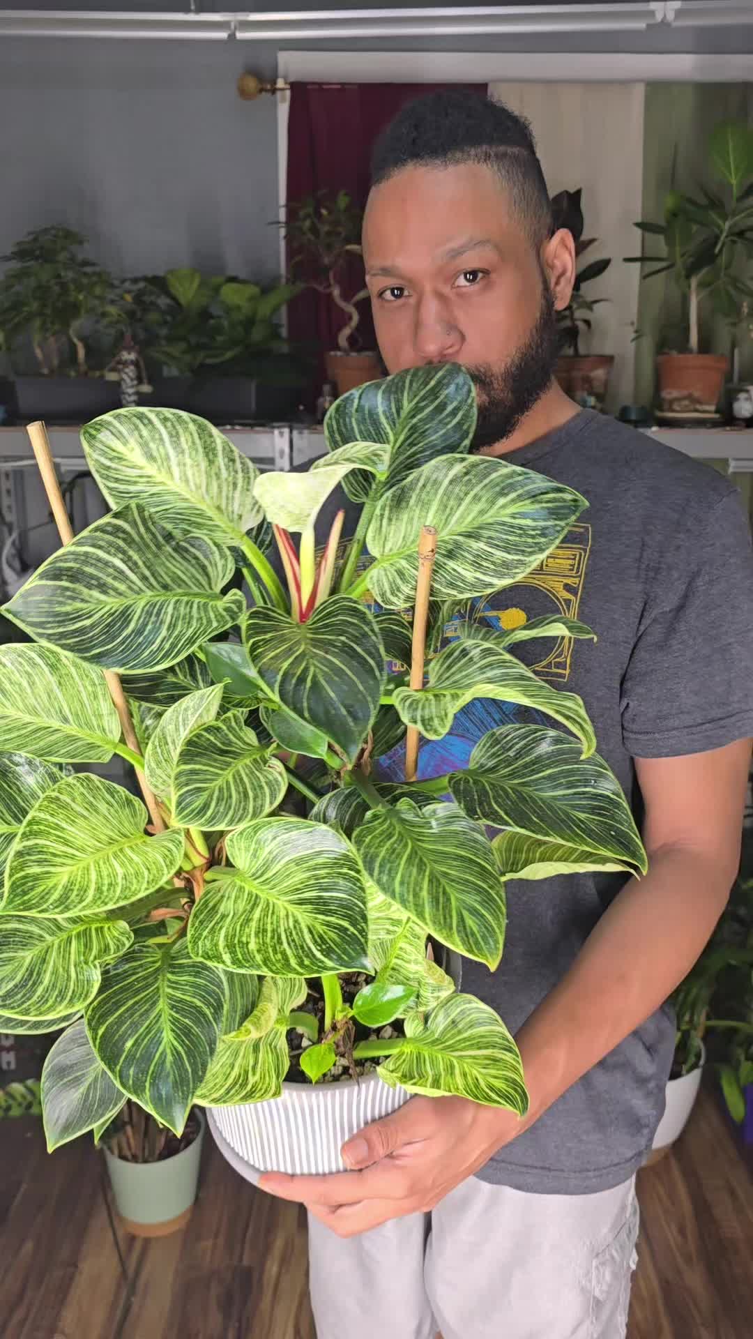 @JT - BigEGOPlants