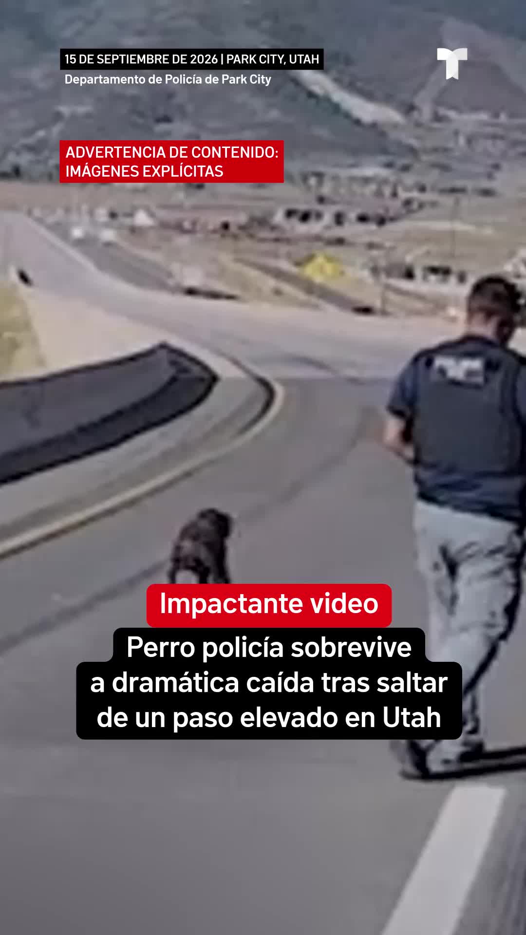 @Telemundo47