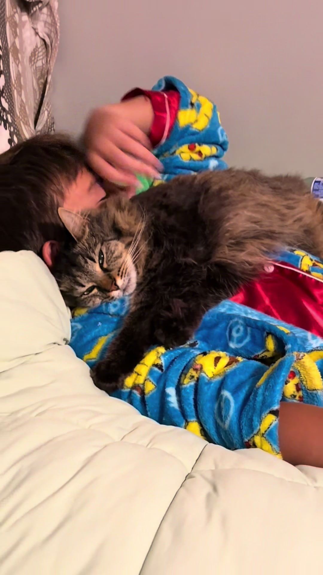 @RoxySnowballCatDrama