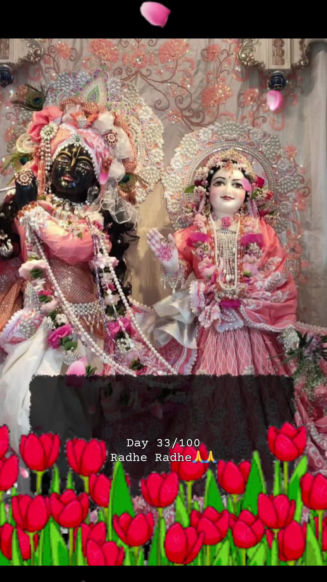 @RadheKrishna🦚🦚🙏🙏
