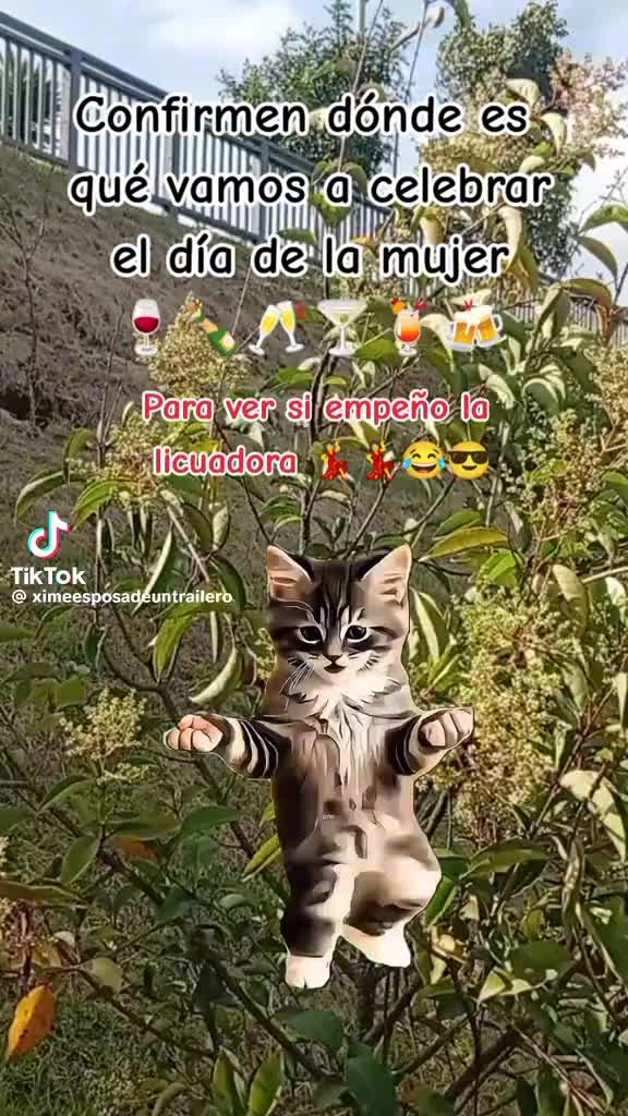 @Yolanda V&aacute;squez