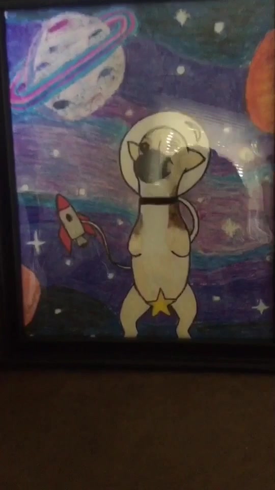 @TurboRoo the 2Legged Chihuahua