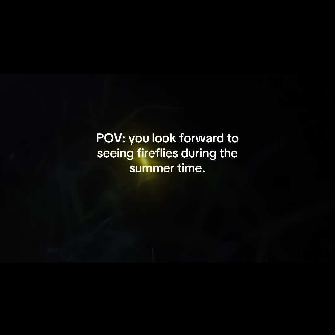 @Nostalgia clips
