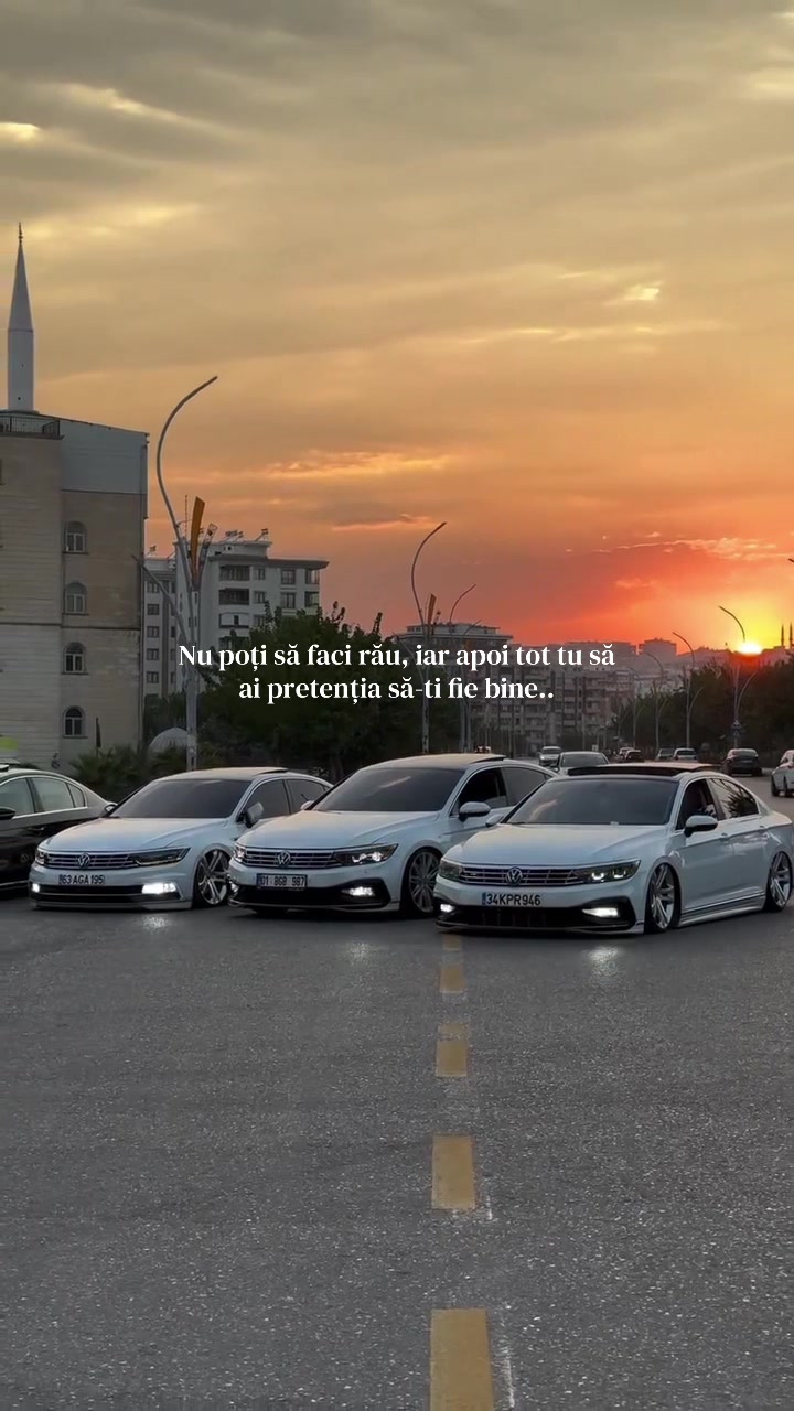 @α∂утzυ