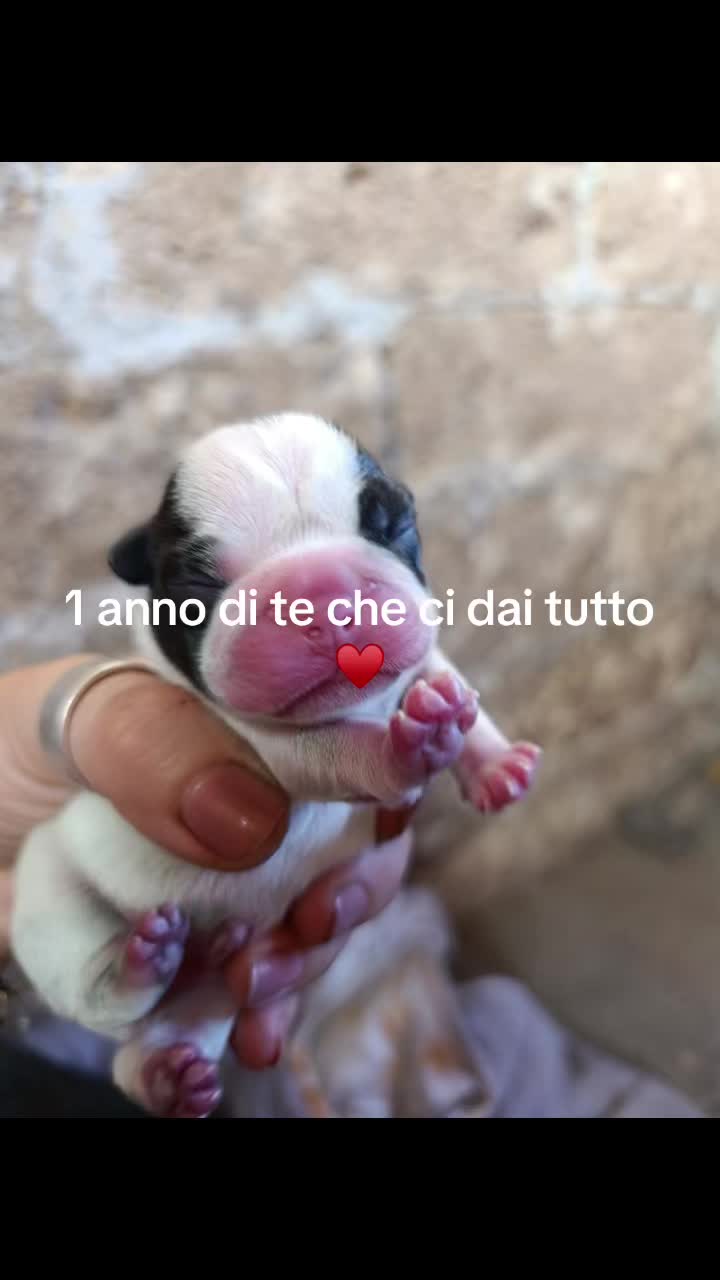 @Giusy Marchisello885