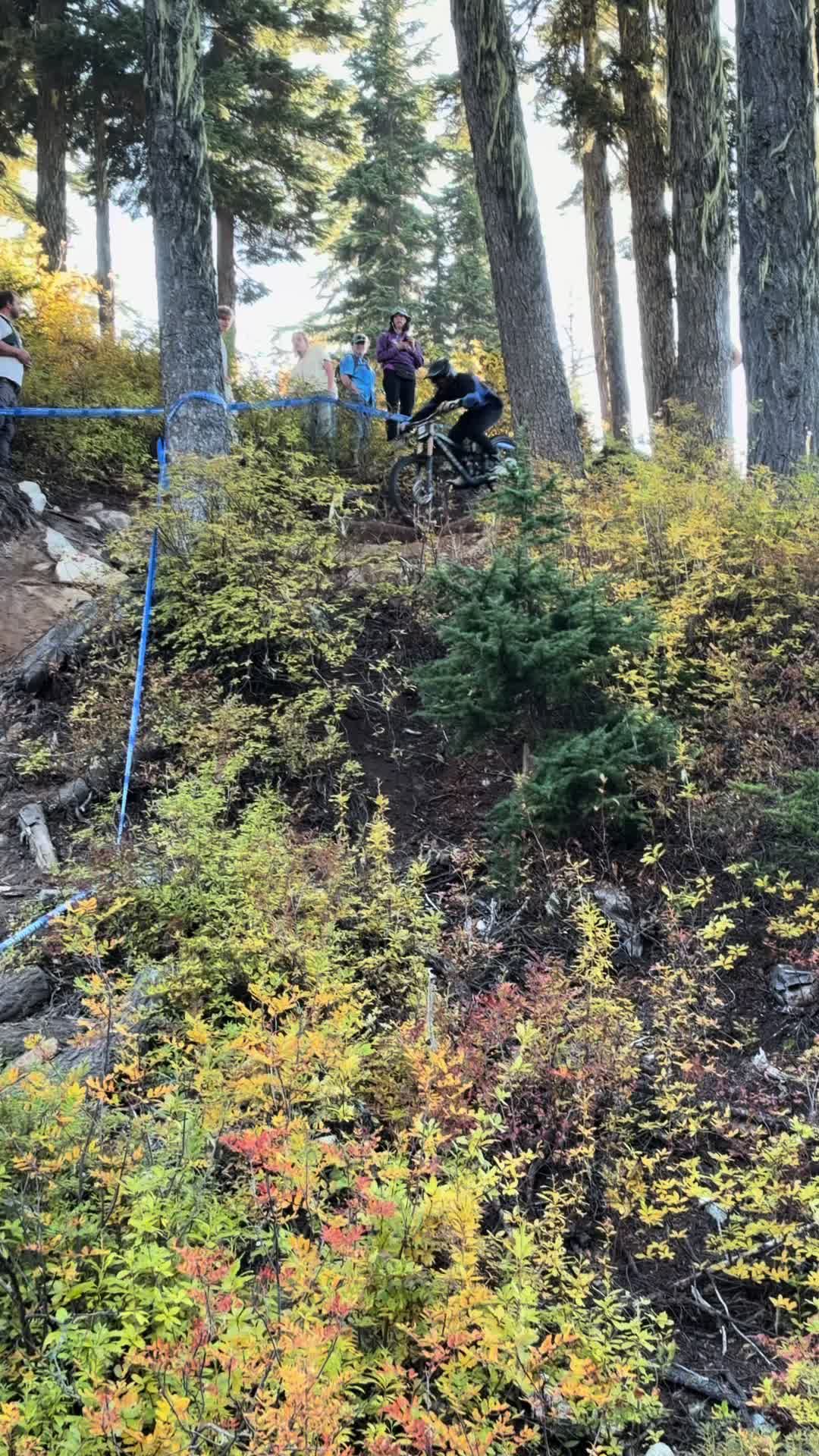 @levikelleyyz250f