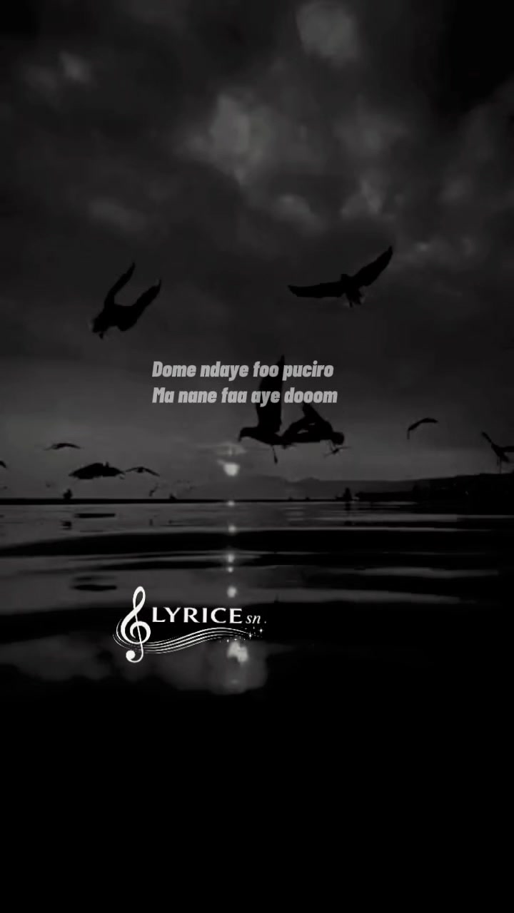 @LYRICE sn🎧