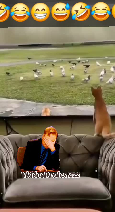 @🤣Vidéos Drôles.Zzz