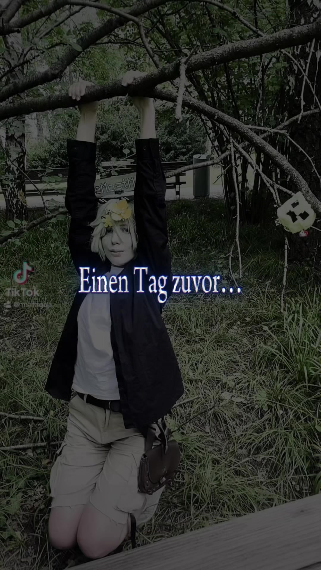 @zuckerwatte