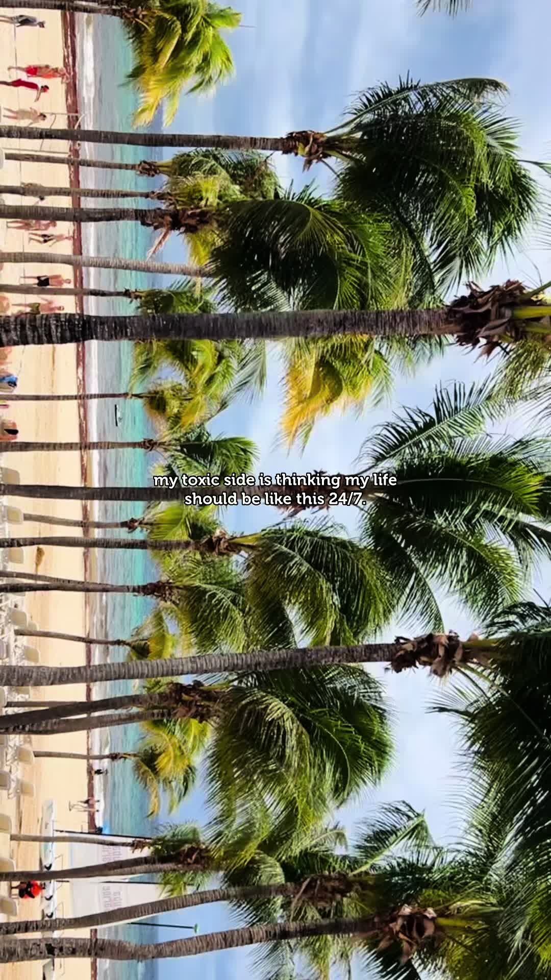 @Sofia Zacarias