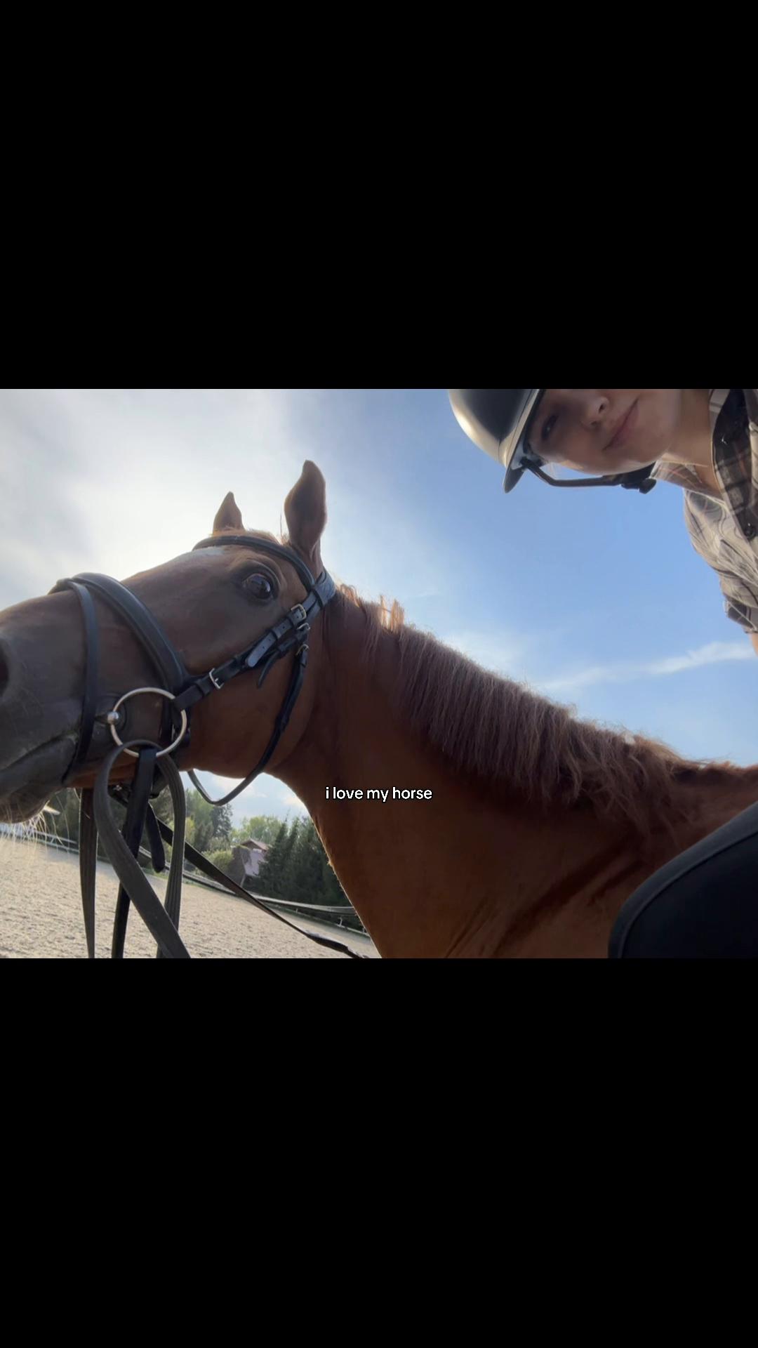 @Tгк:Margarita equestrian