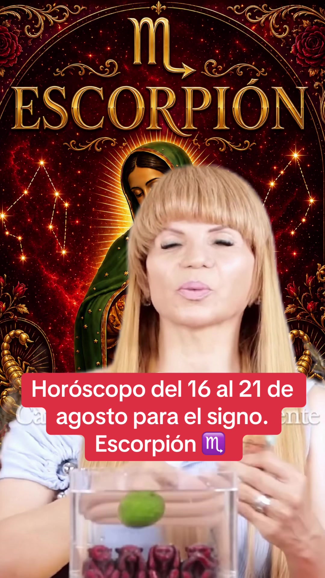 @✨ORÁCULO 13 ✨