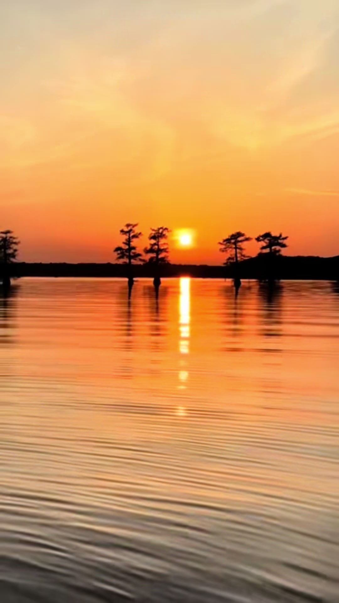 @Caddo Lake FirstCastCabin