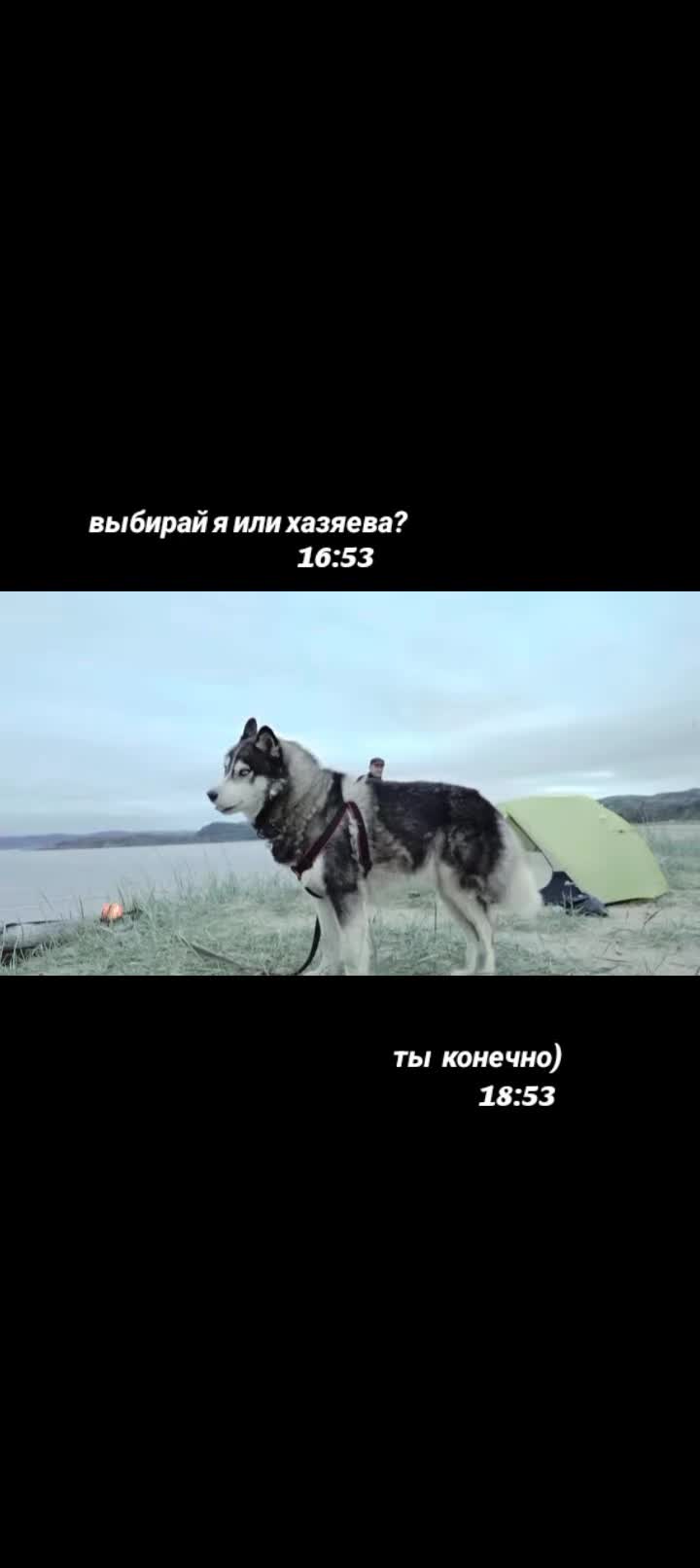 @ssstasikkkkkk