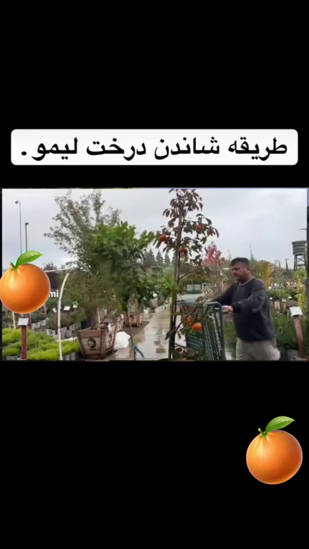 @Rahimi