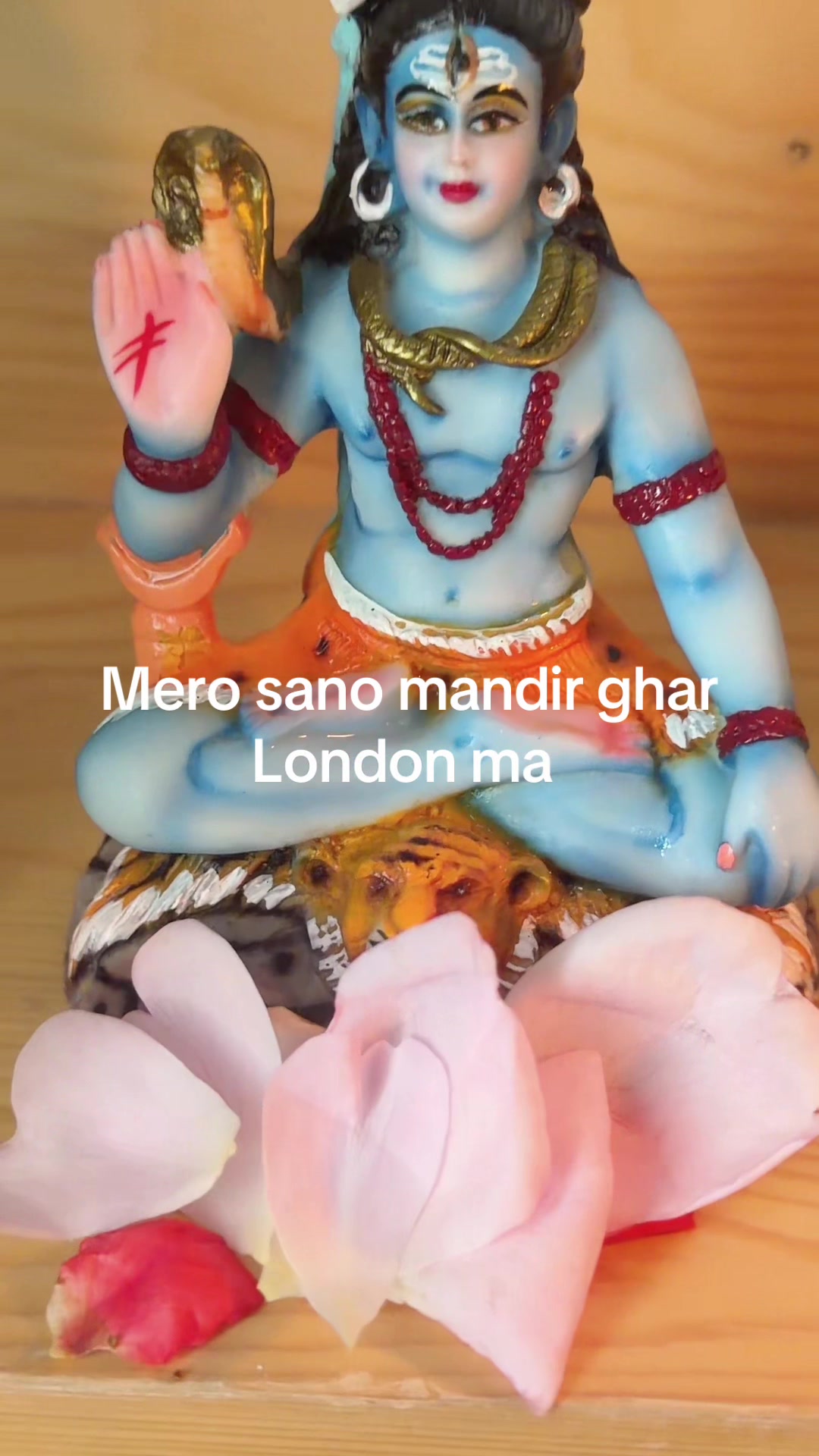 @poonambhetwal