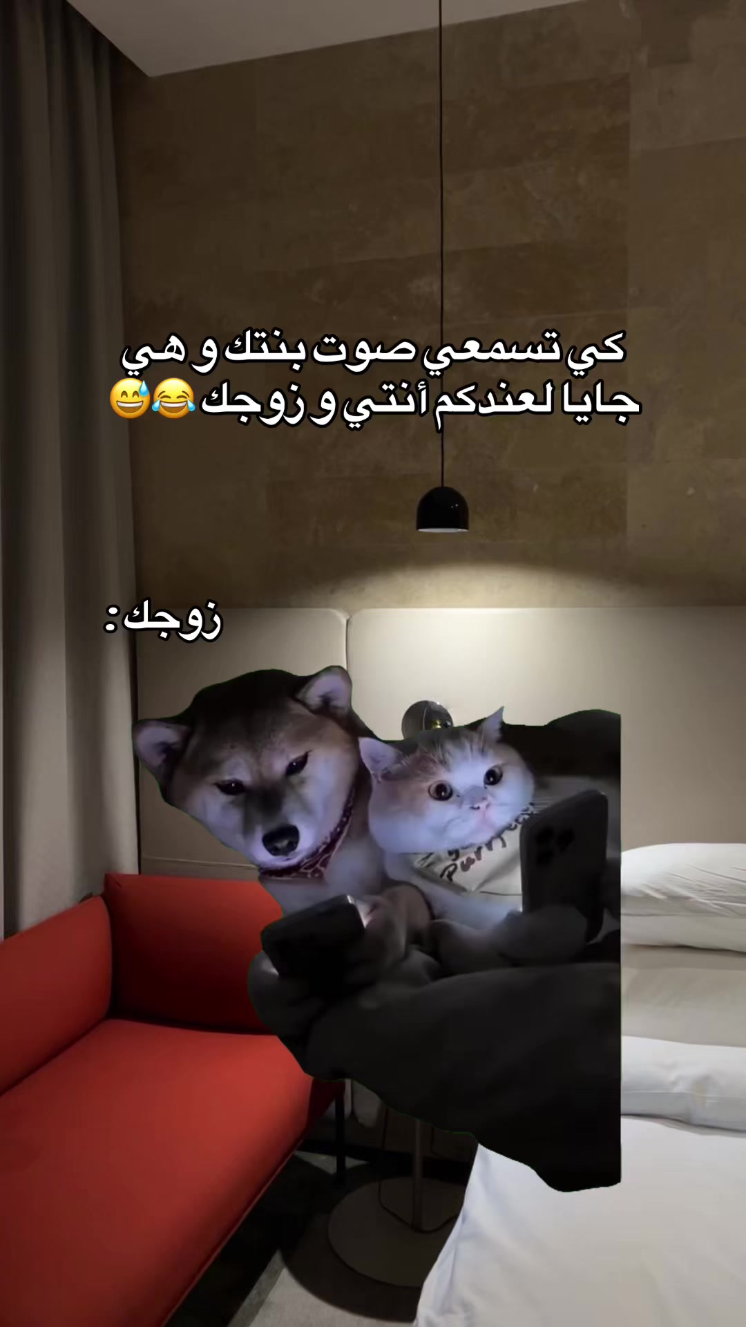 @๐R eps Mohamed๐