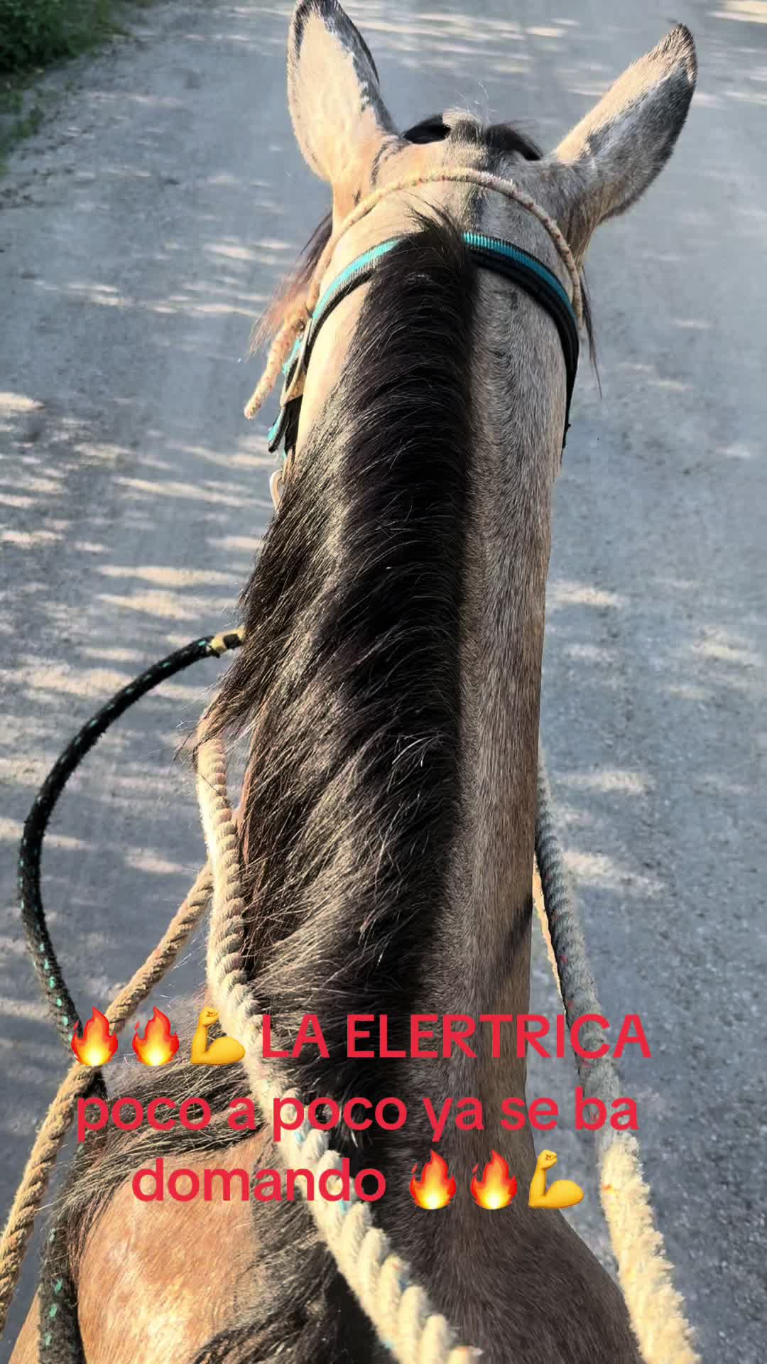 @🔥🔥❤️EL FEO ❤️🔥🔥