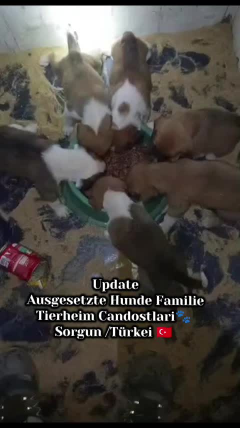 @TSV Candostlari-Beste Freunde