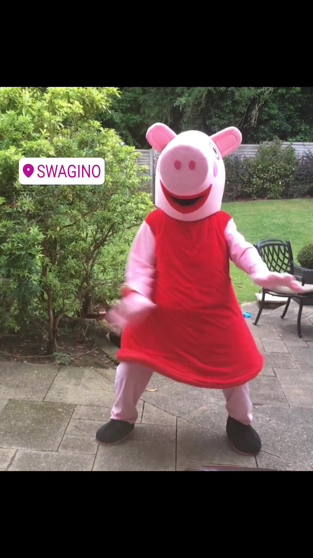 @SWAGINO