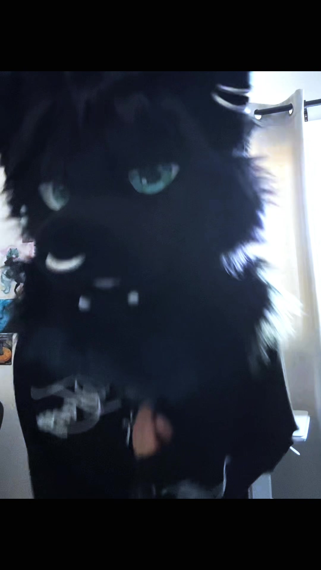 @𝐧𝐨𝐚𝐡 🐾
