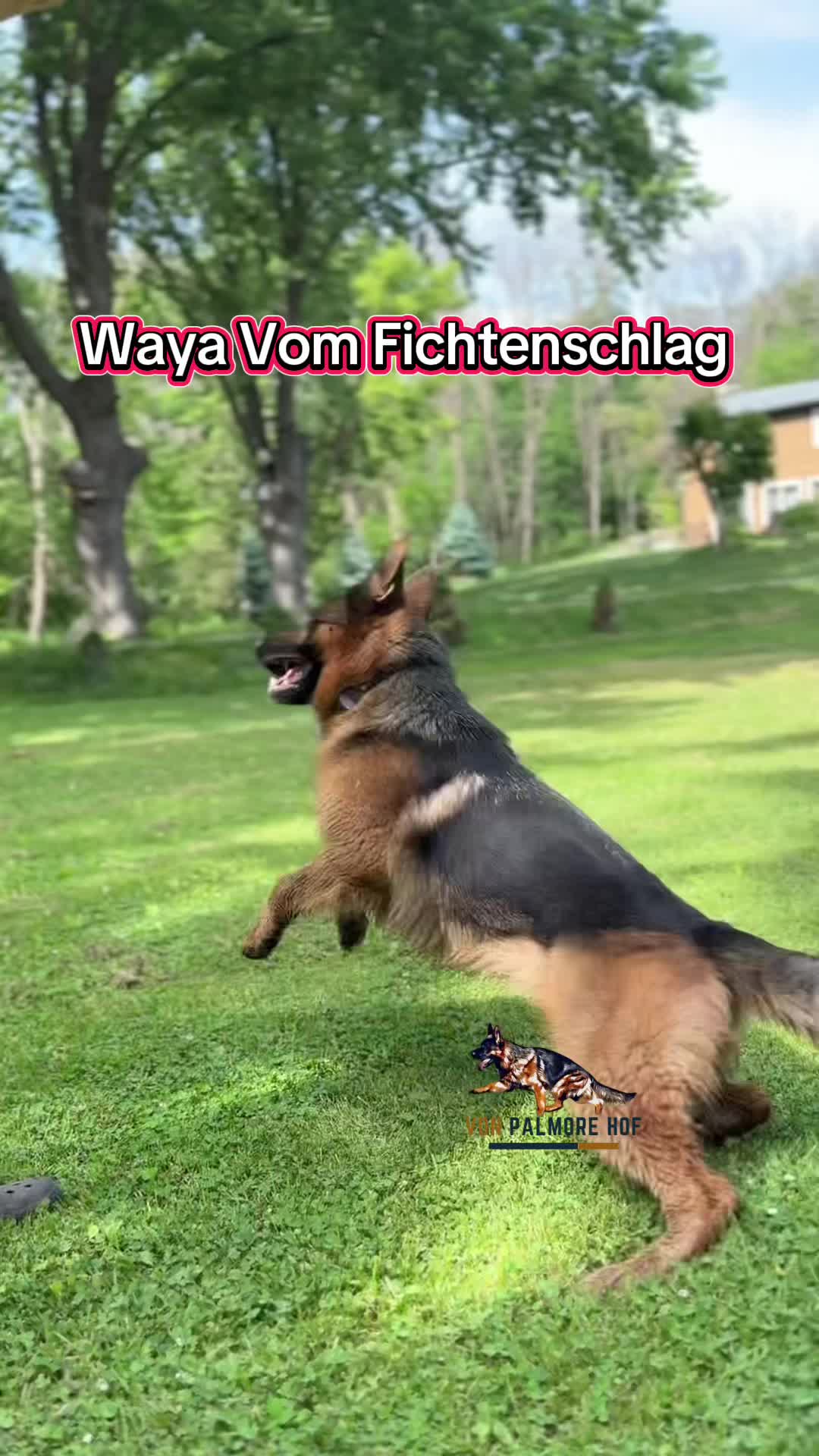 @Von_Palmore_Hof