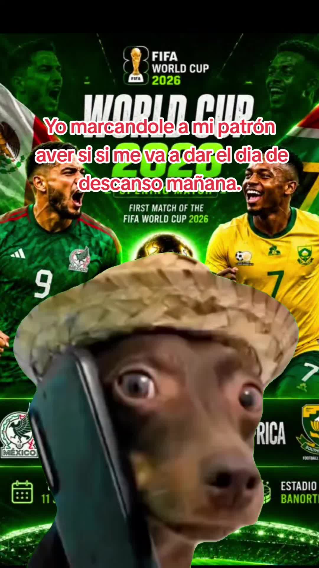 @🎶🎶vega♥️⚽️