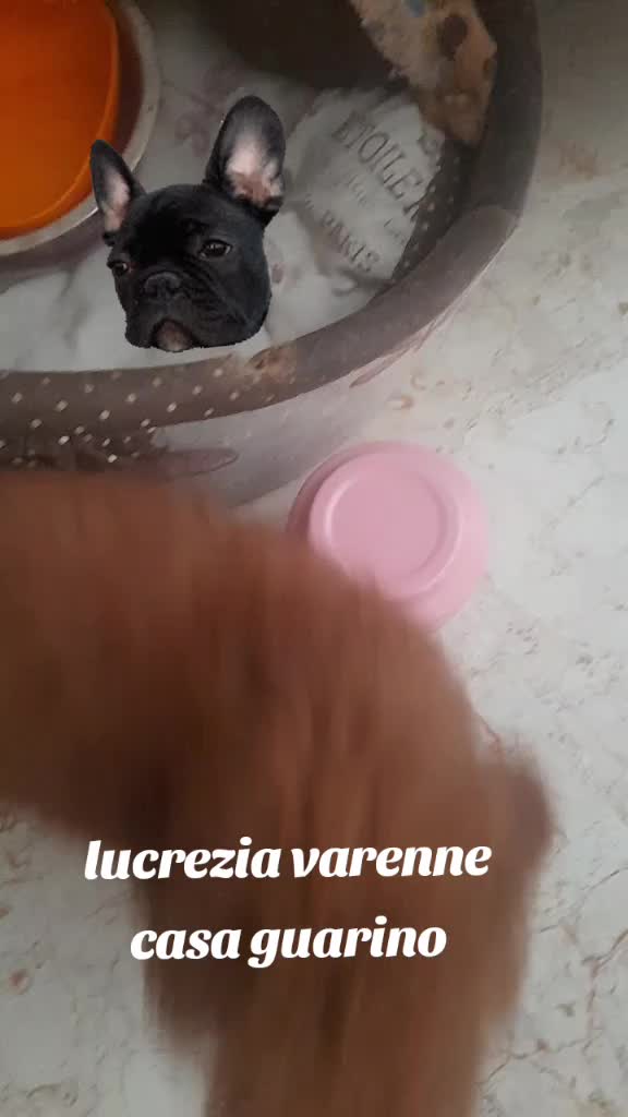 @titty margo lucrezia