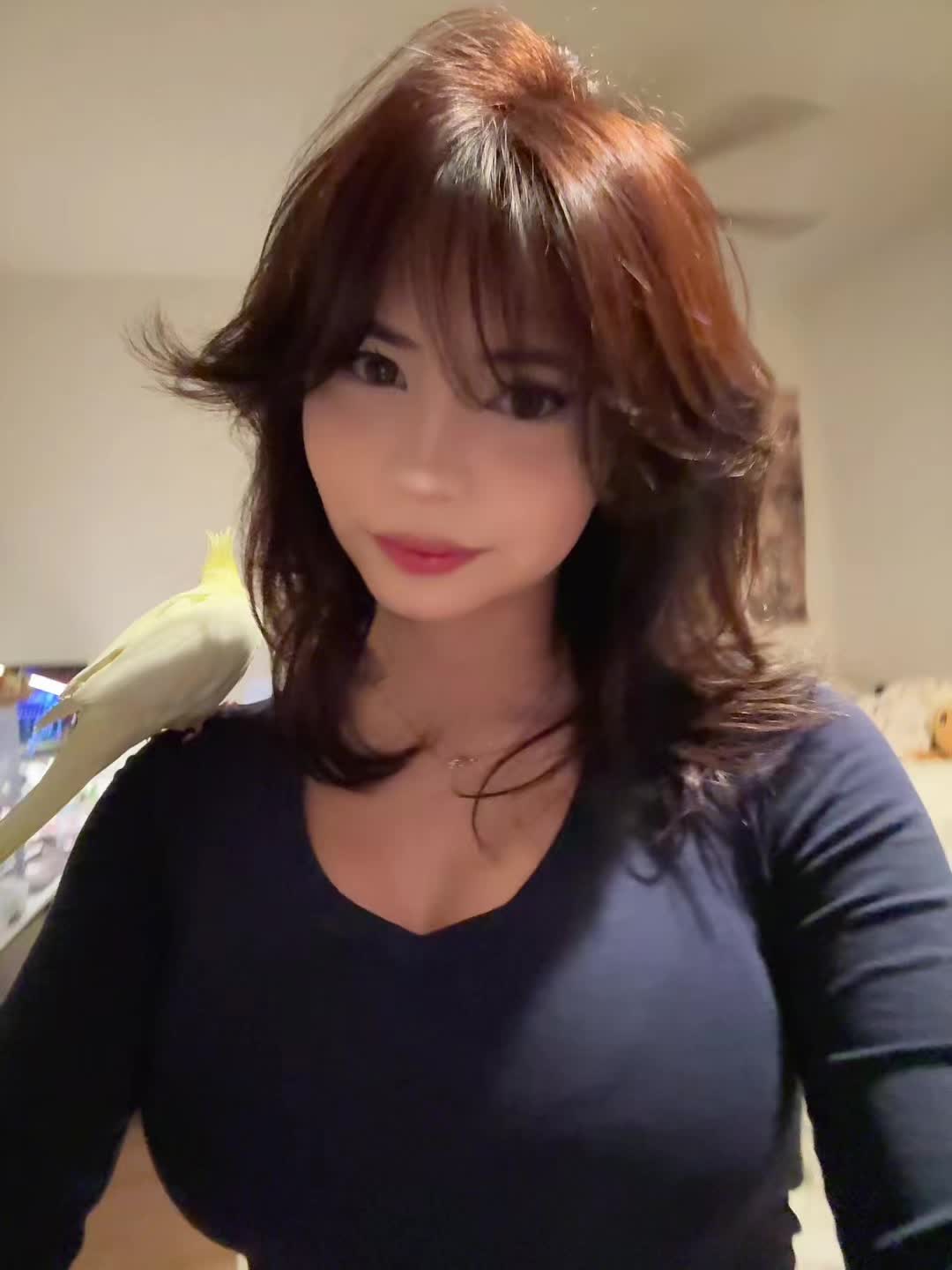 @yuki fox