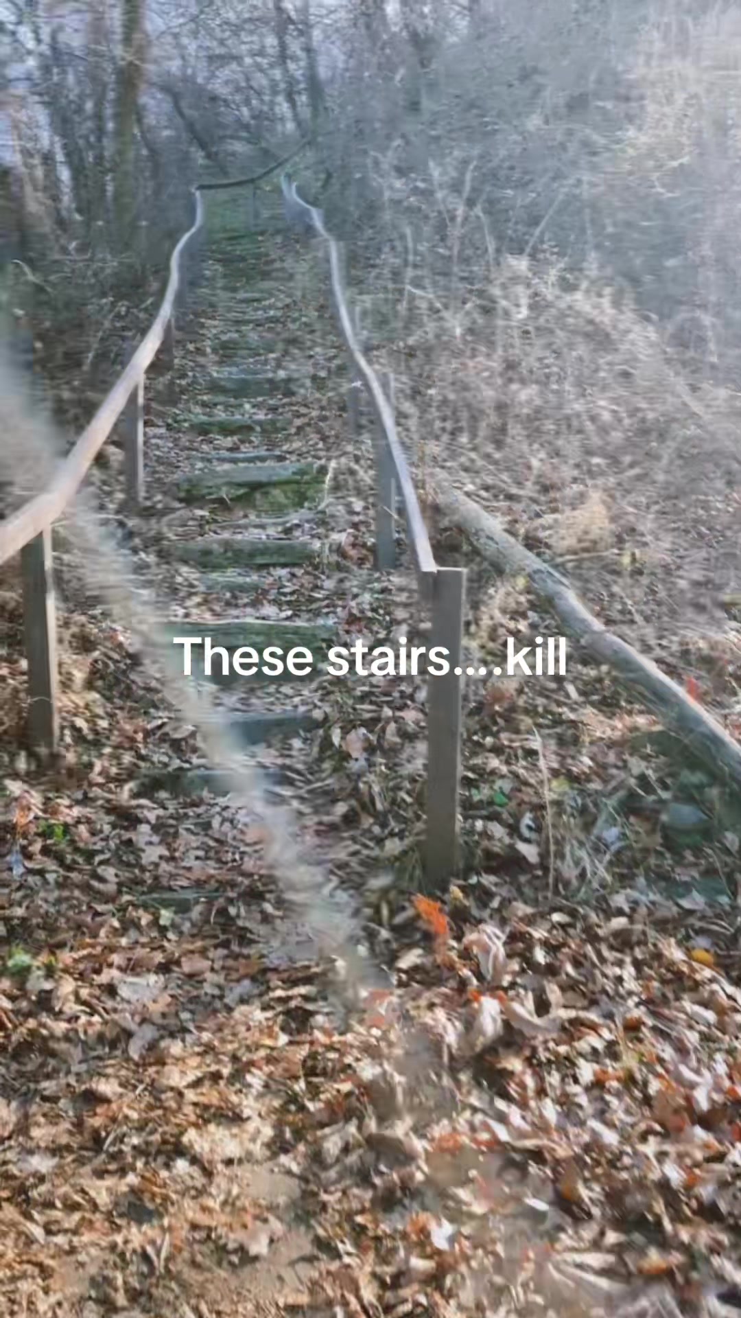 @&bull; A &bull;
