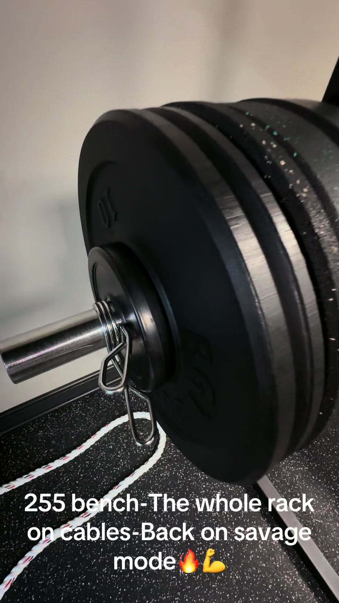 @Freddylive Fitness