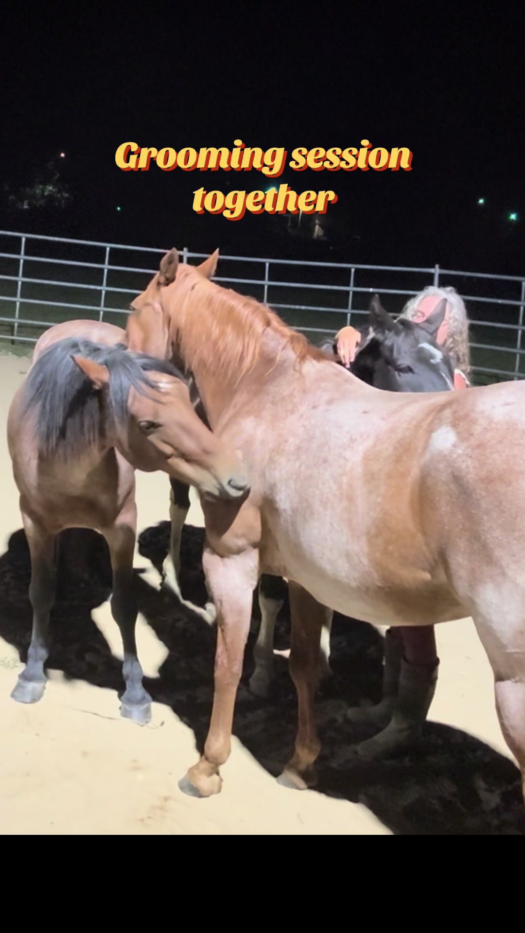 @Janet..Fuzzy.farm.gang
