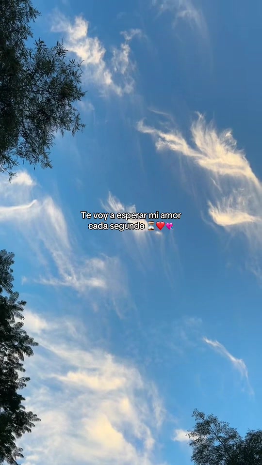 @violetta