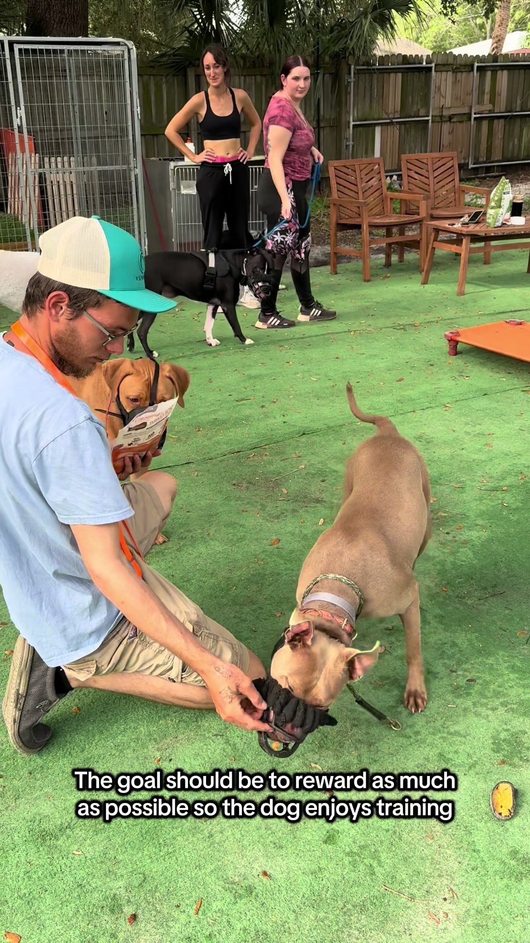 @balancedcanineacademy