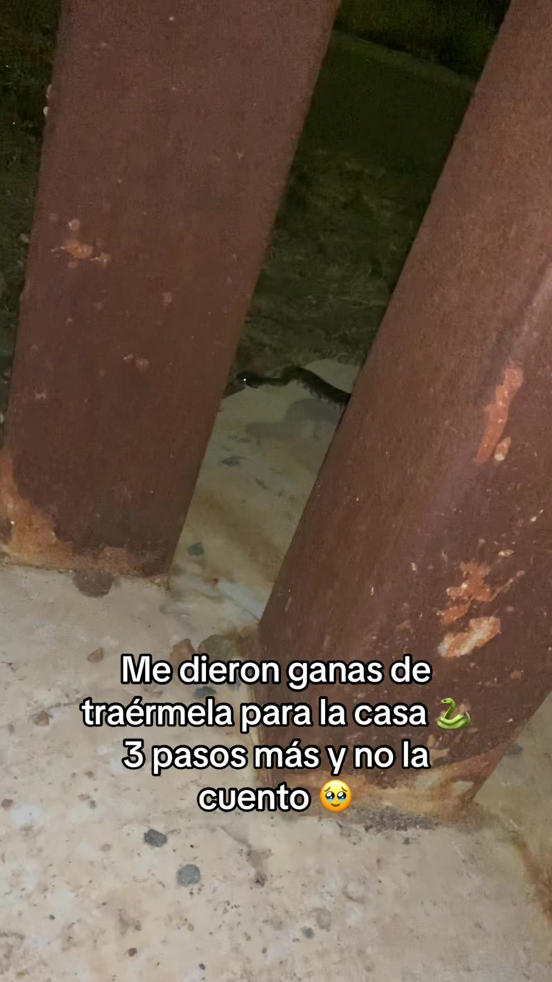 @Yosoyarionoficial