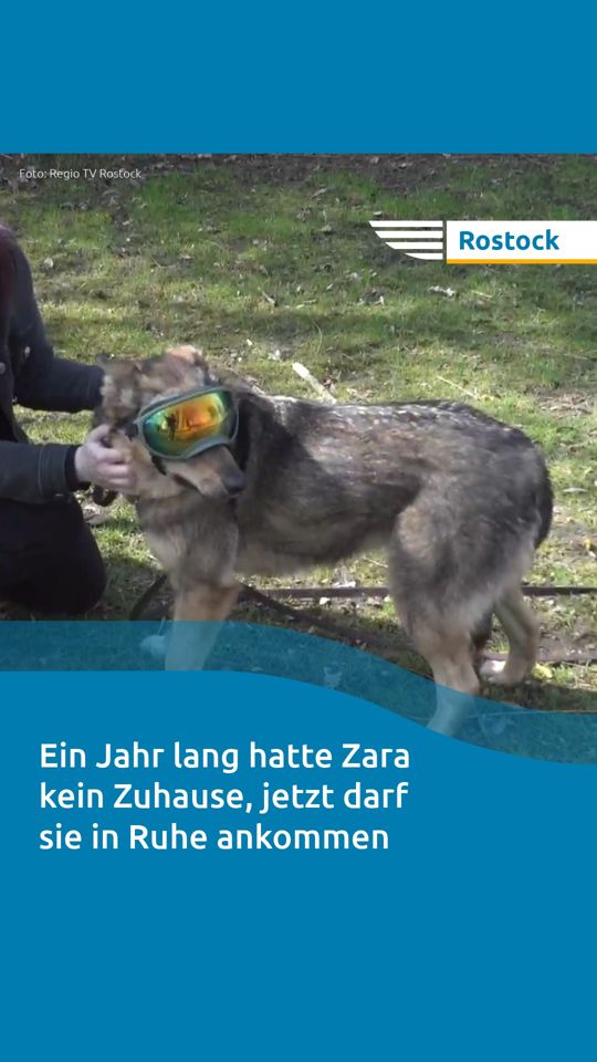 @Nordkurier