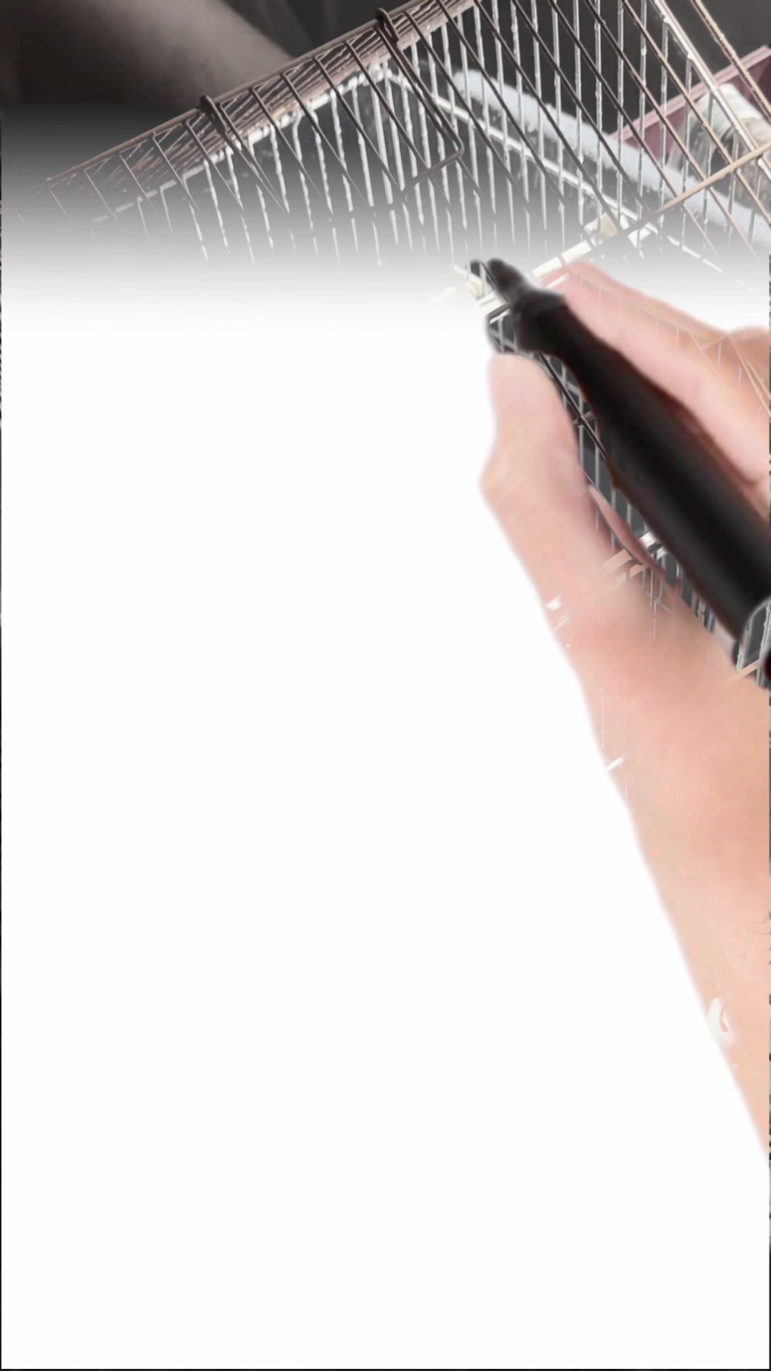 @🔥𐌋&rsquo;𐌉𐌍ᕓ𐌀𐌃𐌄𐌍𐌕𐌄😜