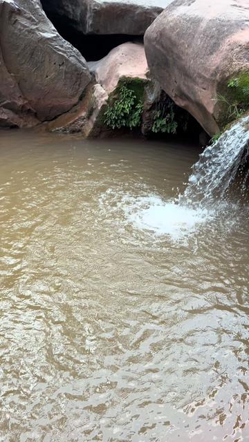 @tjwaince