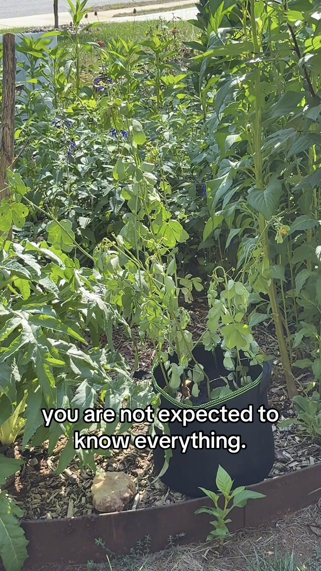 @The Ever Hopeful Gardener